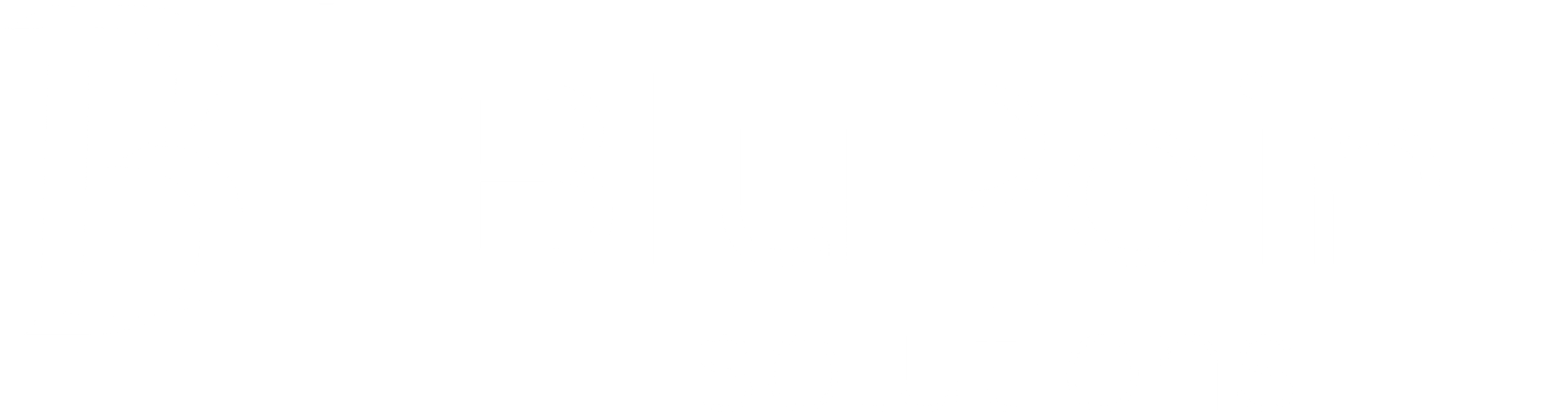 BluPoint Solutions